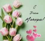 Дорогие женщины!