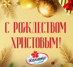 Со светлым праздником Рождества Христова!